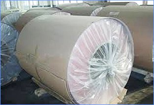 Pre Painted Galvanized Steel Coils (PPGI) supplier and manufacturer in UAE - Dubai, Sharjah, Ajman, Abu Dhabi, Ras Al-Khaimah, Al'Ain, Fujairah Pre Painted Galvanized Steel Coils (PPGI) supplier and manufacturer in UAE - Dubai, Sharjah, Ajman, Abu Dhabi, Ras Al-Khaimah, Al'Ain, Fujairah